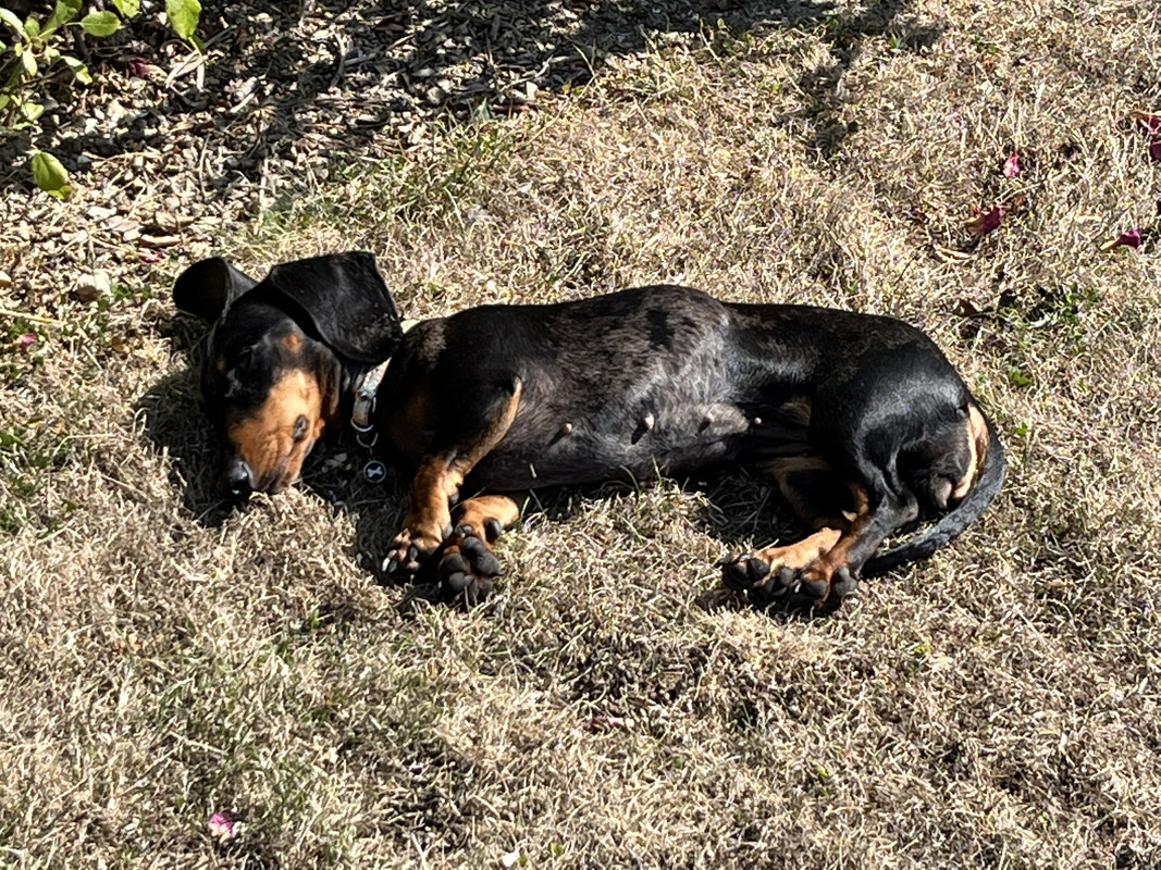 [Image: FB068201-7-EF1-4-B59-BBF5-14-A059-B44395.jpg]