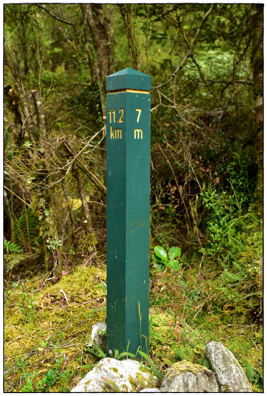 Fiordland NP: Milford Track (enero 2023) - Escapadas y rutas por la Nueva Zelanda menos conocida (4)