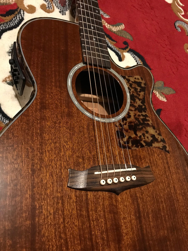 Image: https://i.postimg.cc/pdBmsQPy/IMG-4730.jpg