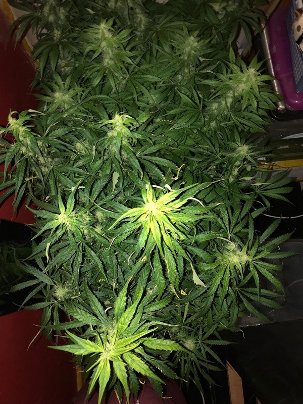 6A0BDC2B-C9FA-410F-9580-A109D2FFE2A3