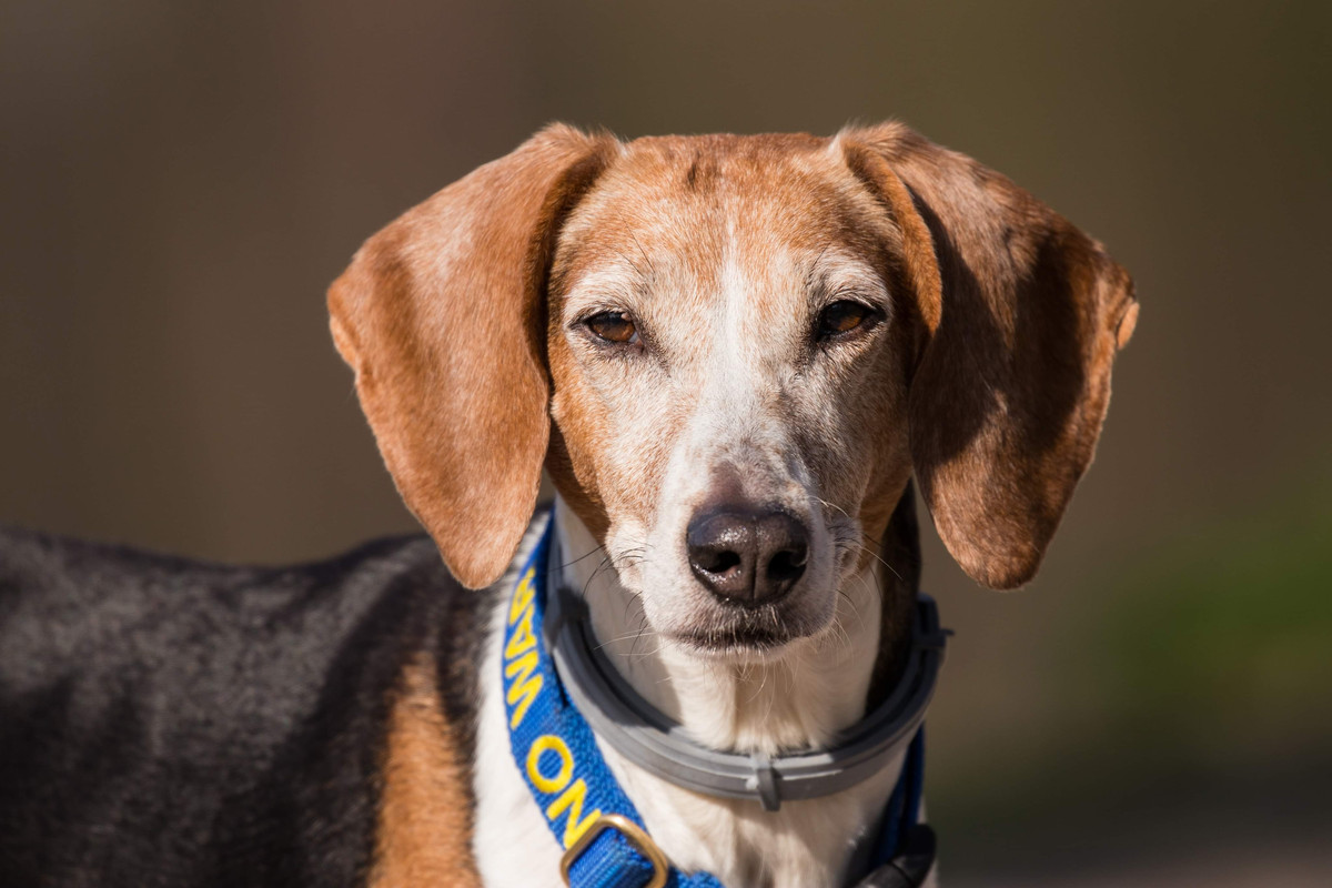 718B43A9-3E8C-4E6E-BCAD-2D0025CE29C9