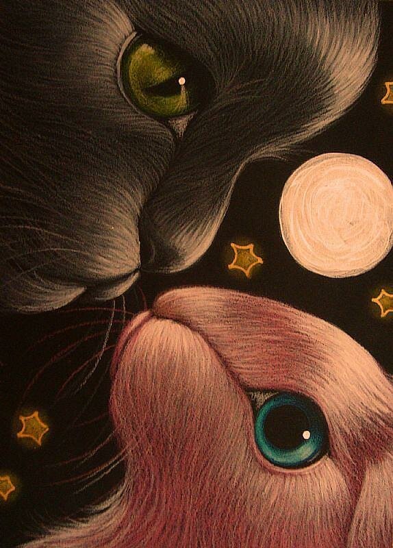 21-BLACK-CAT-MET-PINK-EASTER-BUNNY-RABBIT-Rjpg