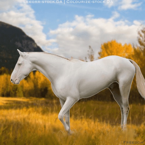 8845DEFE-17E0-4053-A7B0-542EFAB11565