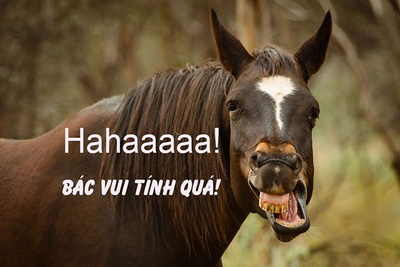 [Image: xem-anh-che-hai-huoc.jpg]