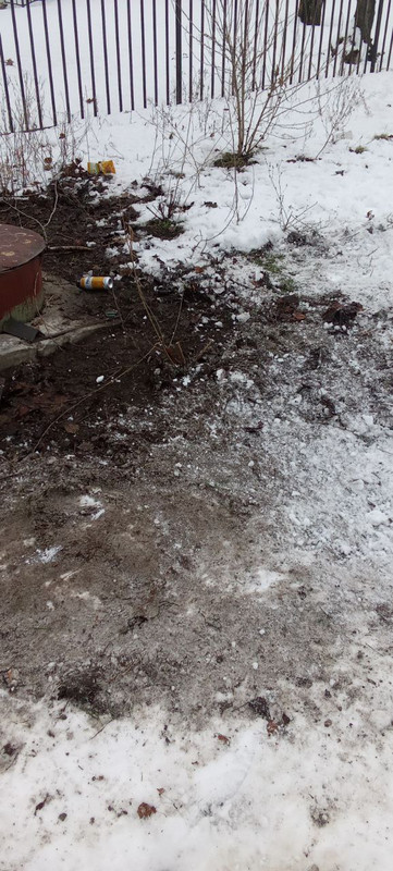 IMG 20260223 073738 488