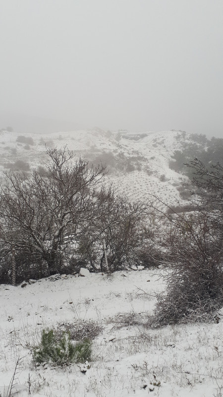 IMG-20181213-WA0036.jpg