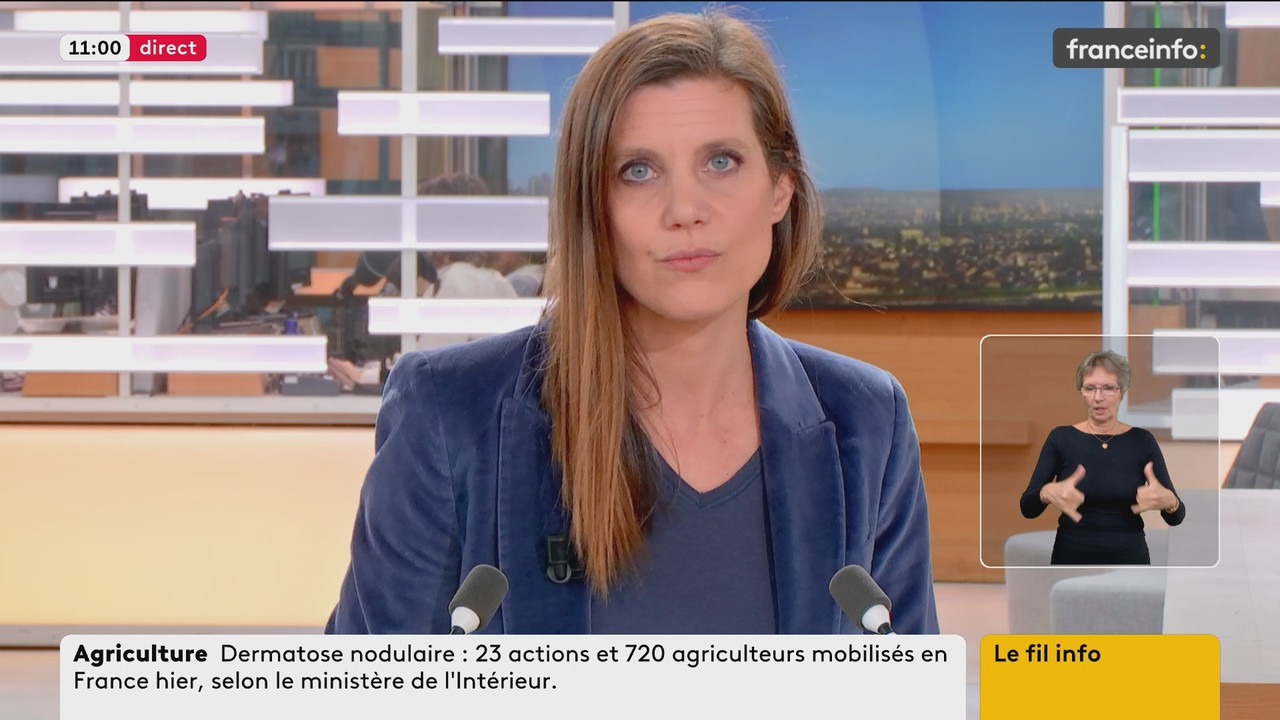 Le fil info (Franceinfo) 2025 12 22 09 54 80 ts snapshot 07 45 430