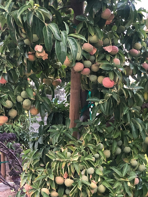 F39B391E-5578-482D-B406-4F25D976DE60