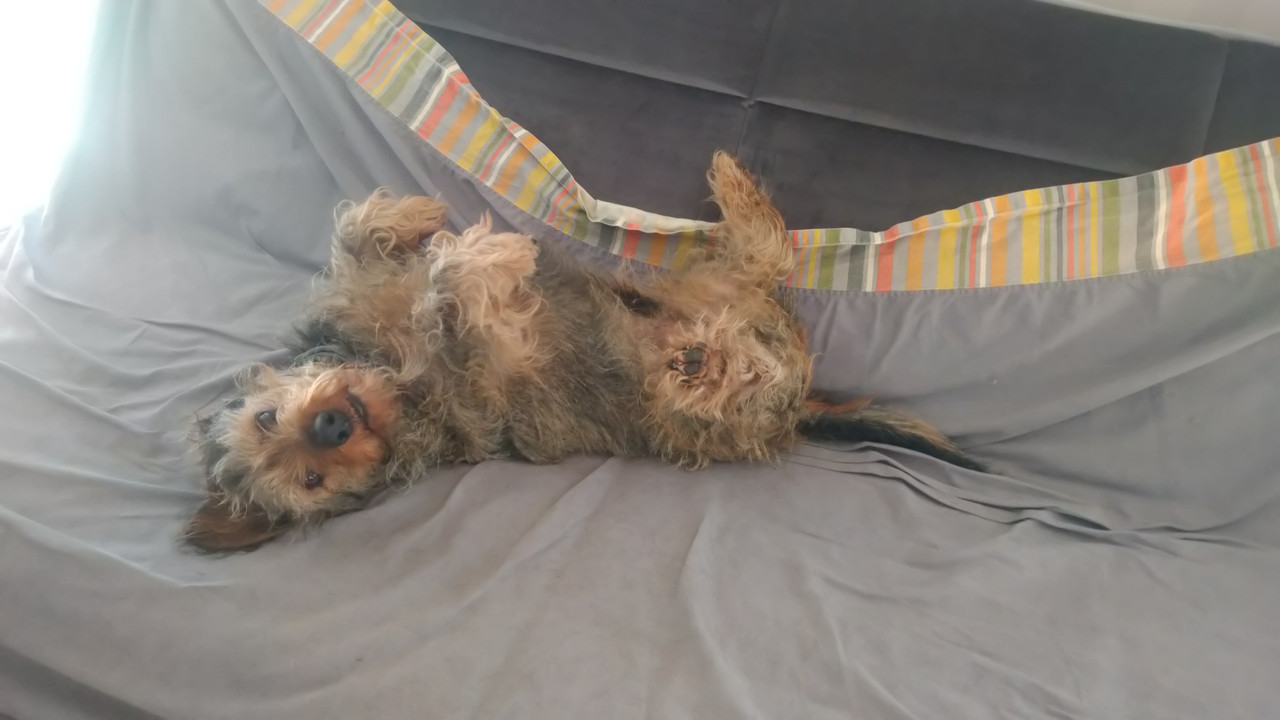 [Image: DSC-0630.jpg]