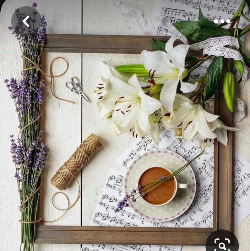 Screenshot_20230528_234127_Pinterest