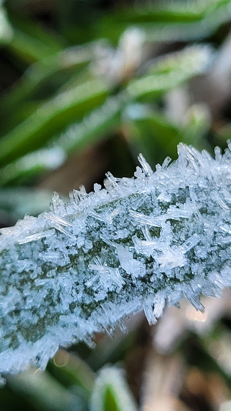 20240813-075017.jpg