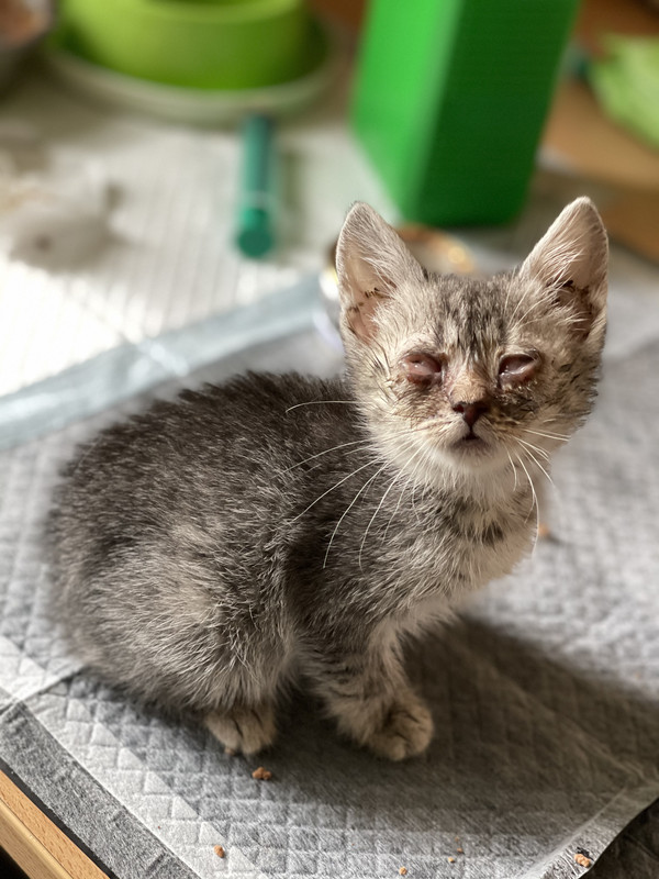 18C1F295-1CD3-473A-99F8-94C090C8B5E8