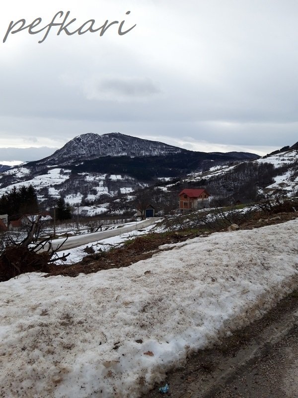 Slika