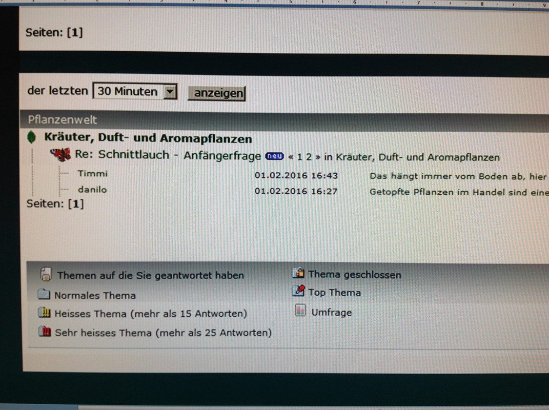 Timmi ist Gänselieschen 01.02 (2)