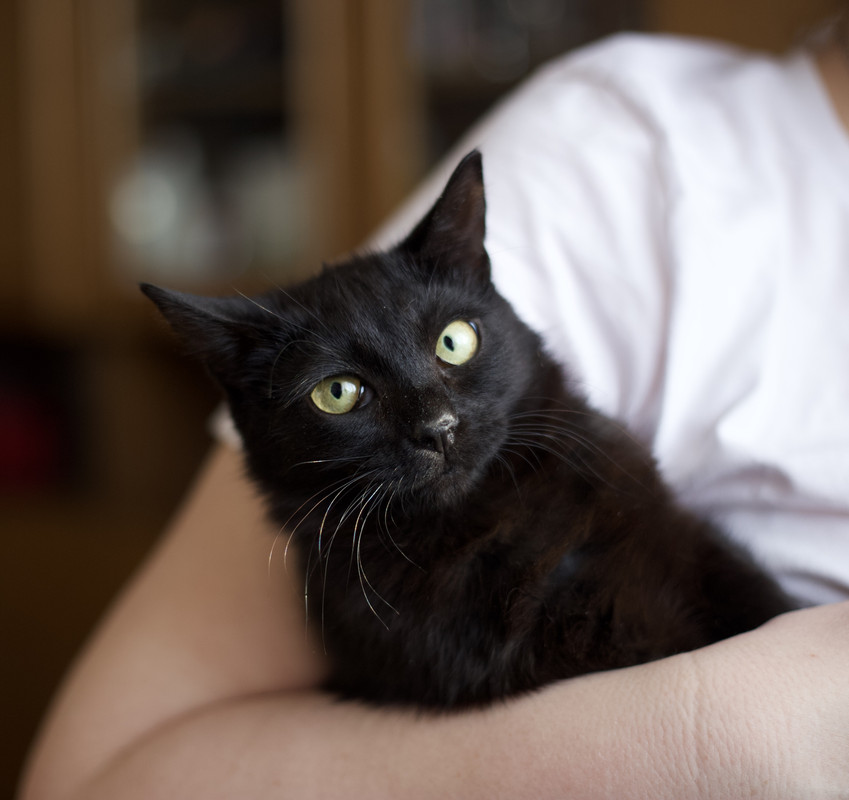 image-12-03-22-08-41-1