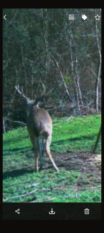 Screenshot 20260118 161554 SPYPOINT