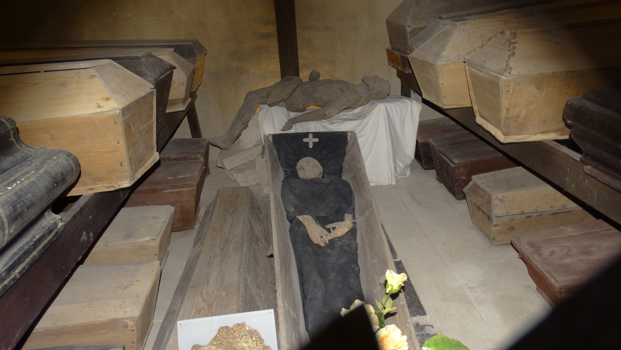 02.24 - DSC09930 (Czesio1)