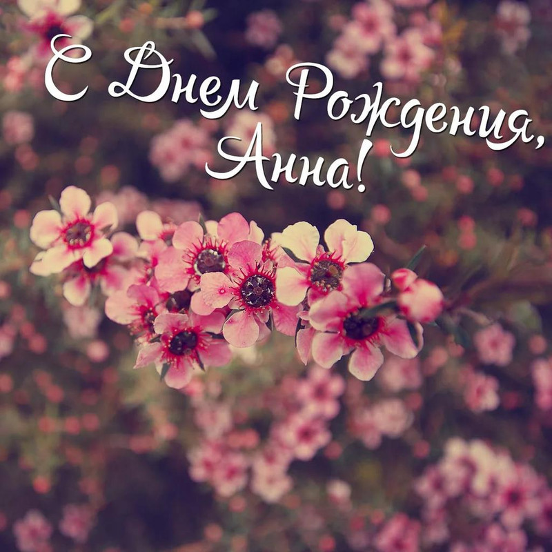 6D267A90-070B-40F0-A9FD-0DC5516C868C