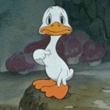 image of a cartoon duckling pointing at himself