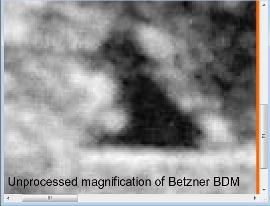 Betzner-BDM-Crop-2024.jpg