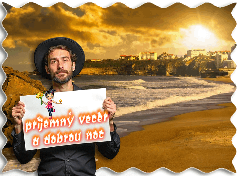 beaches-4922856-960-720.gif