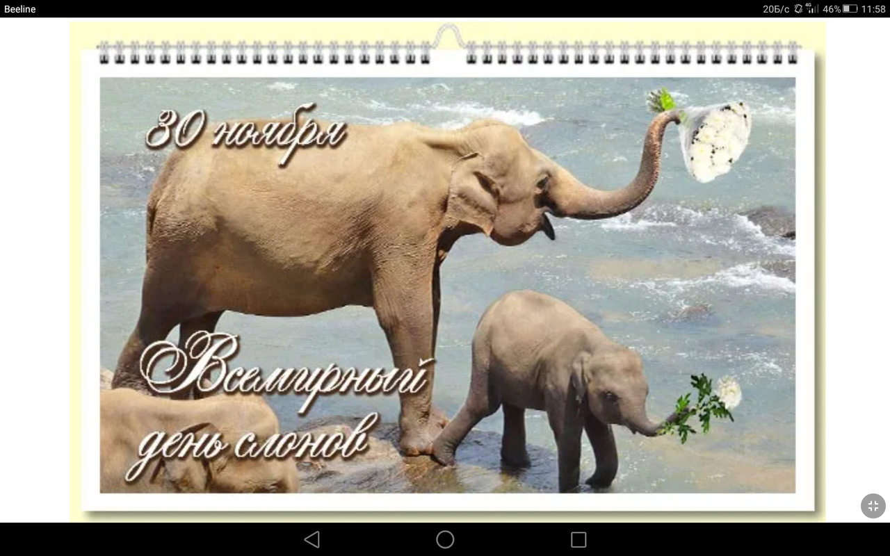 Screenshot_2021-11-30-11-58-05
