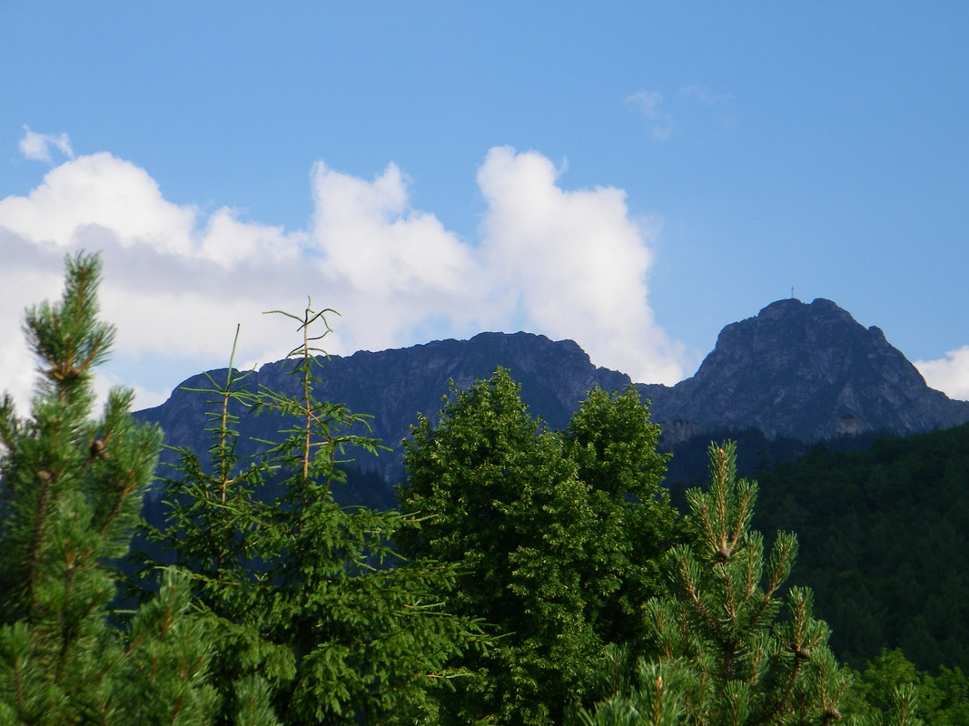 004 - 100_2824 (johny)