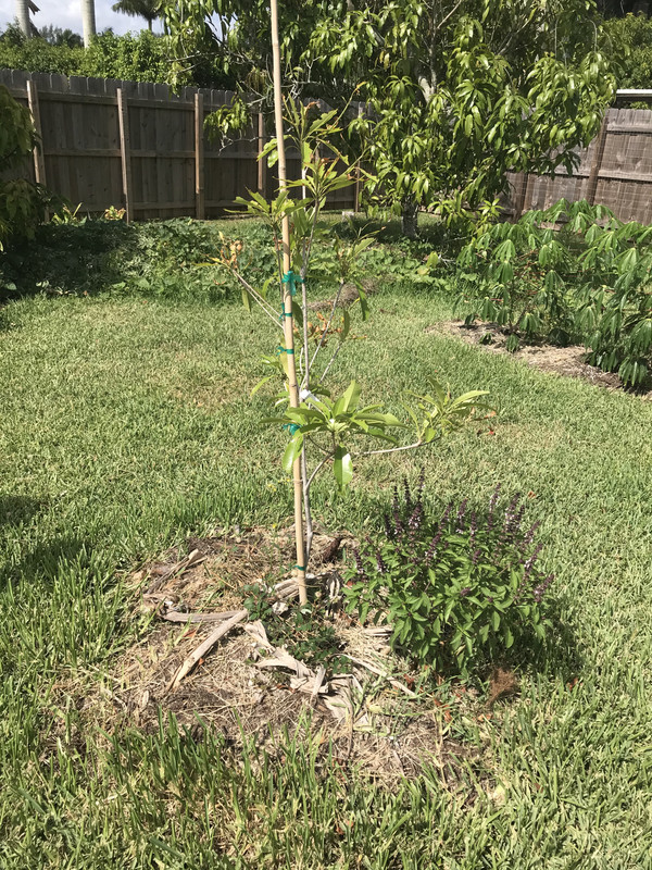 509A81BF-EB0C-4B1B-815D-BEC48DBAD0D1