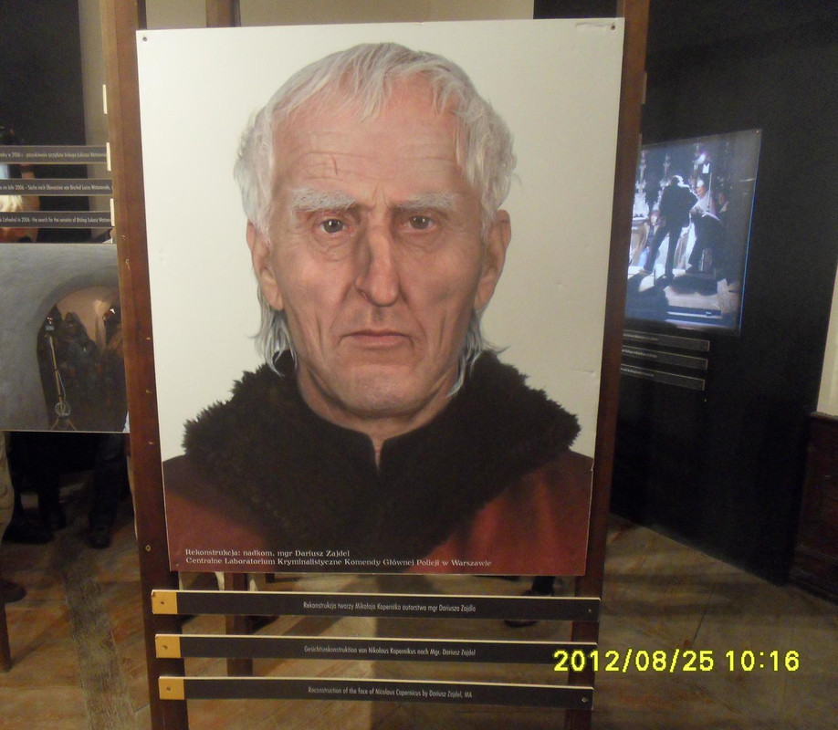 03 - Catharinea (Czesio1)