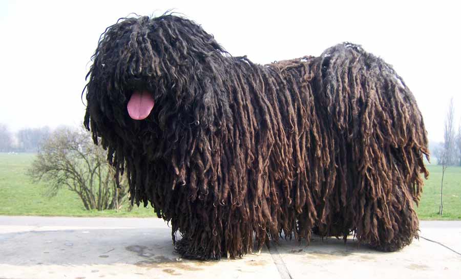 822f8c8aa02065b9fca46fe0badefb56