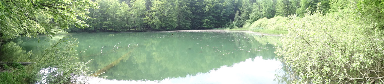 016 - DSC00709 (Hanka)