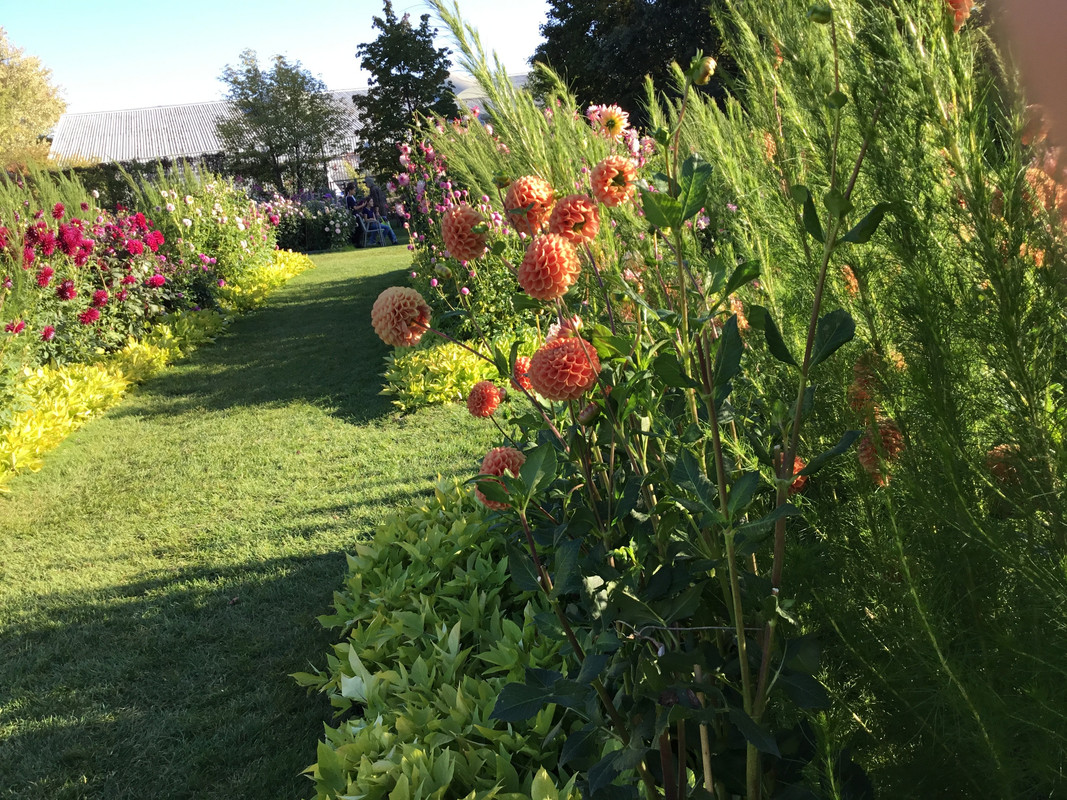 9FB5959D-54C7-4C41-9F60-8F97CC71DEAC