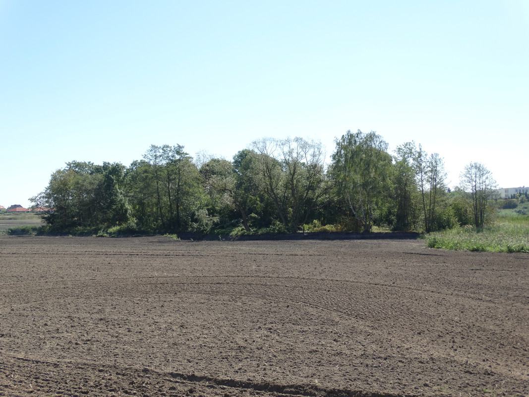 09.26 - DSC05688 (Czesio1) (zbychowiec)