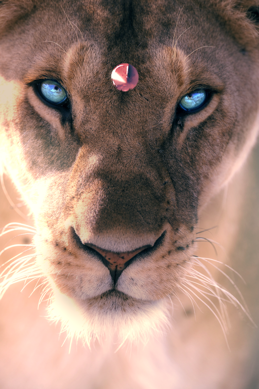 Lionavatar