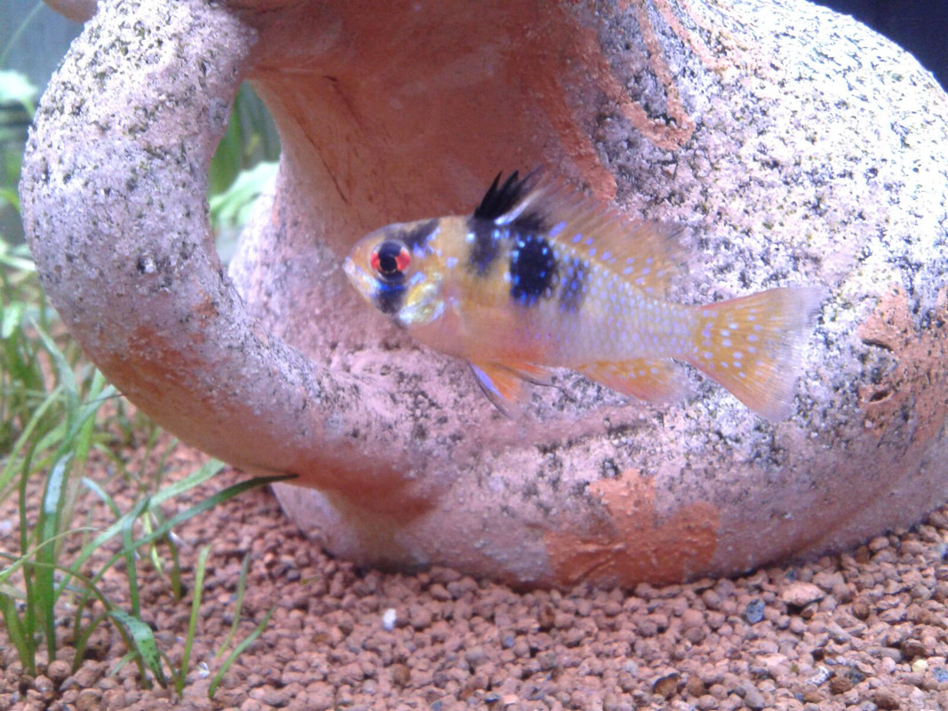 altAmJdMw6KNxAI7UCMTm_aAfALh_pvoEFile1ORz-TH1Vx