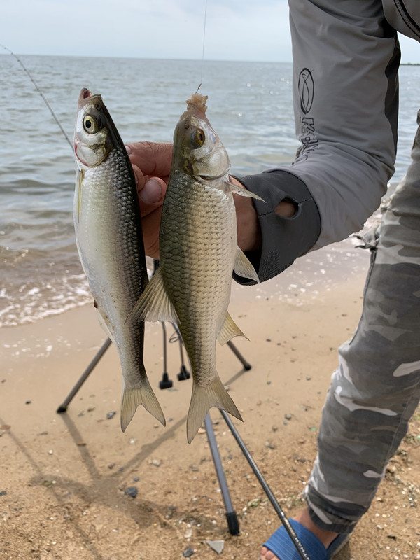 04554B92-E1B4-467F-AAD6-BE506FC77AE4