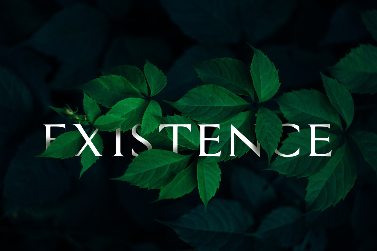Adobe Photoshop CC – Essentials Training Course - image 7 - student project