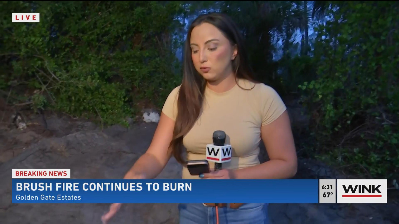 05.23 - 11.00.00 - WINK News @ 6 00AM Sunday. Local news, sports and ....ts_snapshot_31.24_[2021.05.
