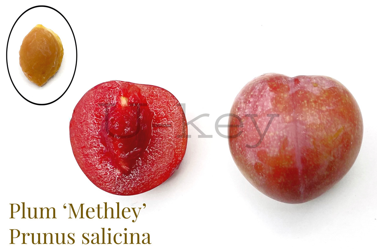 F5E3CB0C-7023-4145-98E2-6412F90CC304