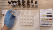 test.gif