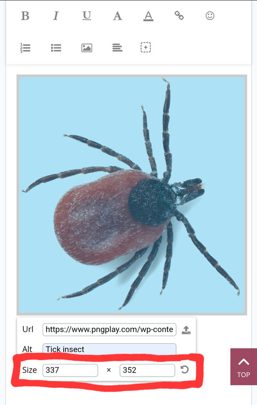 Image resizing on IF