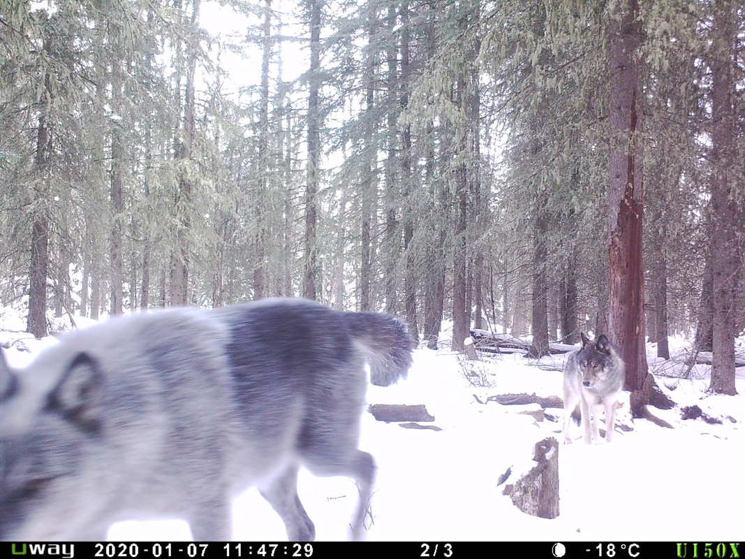 98F1685C-BB2B-4340-BB19-DC71F409DB39