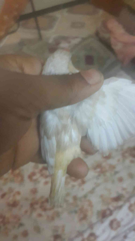 ٢?١٨?٩١٩_٢١١٦٥٦