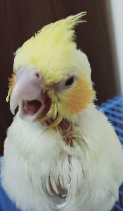 IMG_٢٠٢٠٠٧٠٨_١٩١٣٤٦