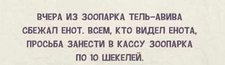 [Изображение: photo-2025-11-26-09-05-47.jpg]