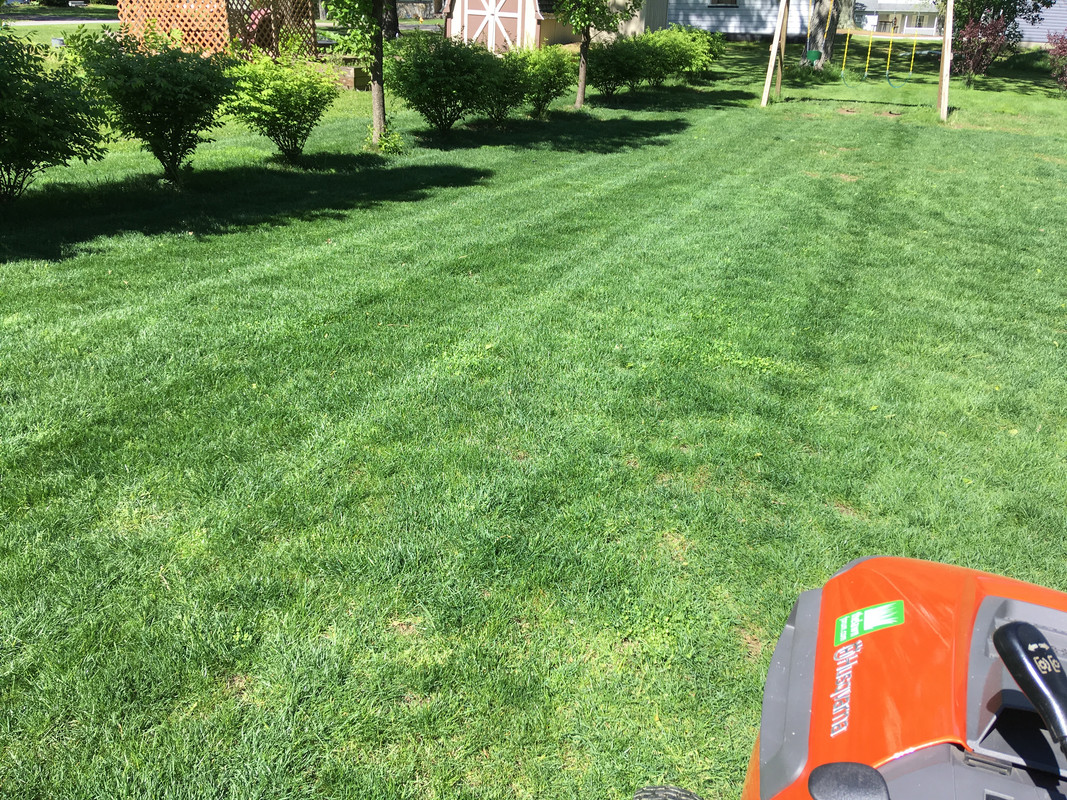 FCFD9103-4A30-4046-9712-6C601E314162