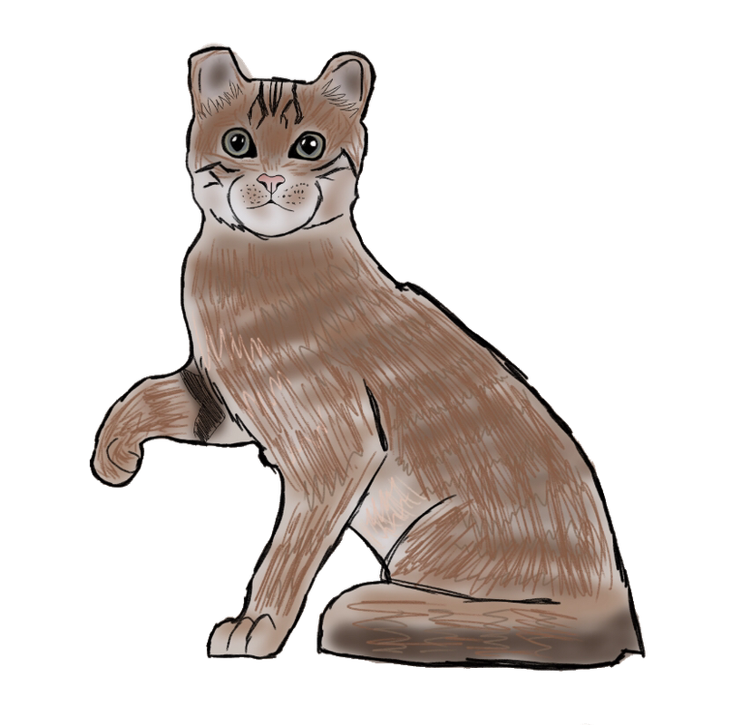 C34E6AB7-0E11-4729-84AE-9B7B762EEEFC