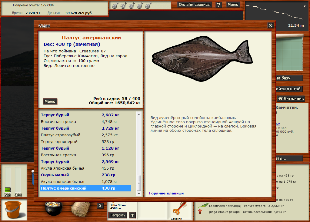 палтус амерекос