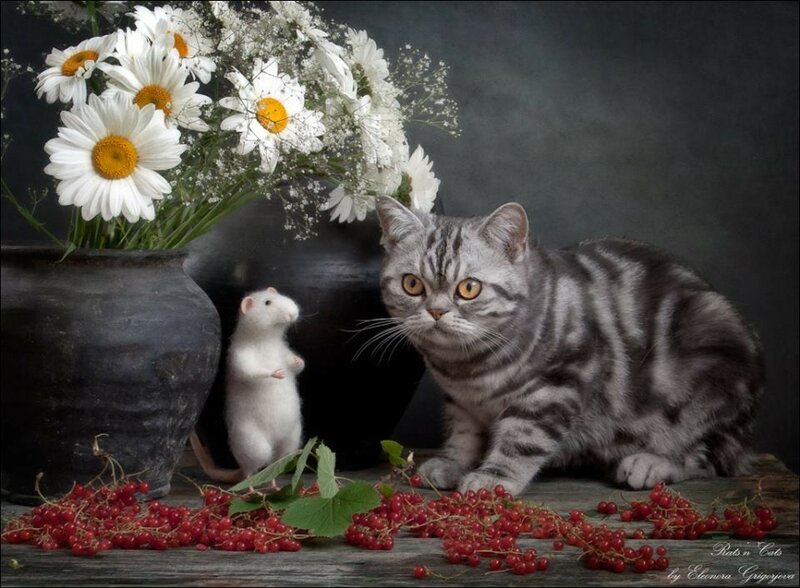 10986475-588292551274212-2050656429849961376-n