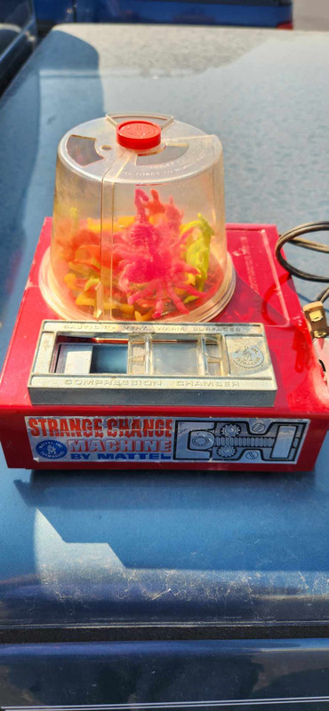 375018398_167872829677473_2675712572968837912_n